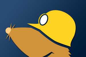 Mullvad VPN ditches subscriptions to protect your privacy even more